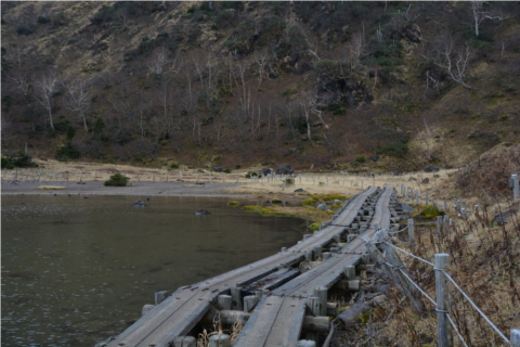 晩秋の関東以北最高峰を歩く