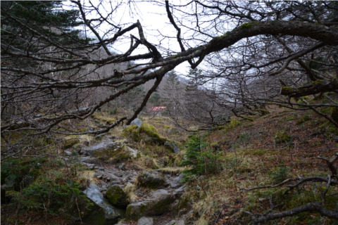 晩秋の関東以北最高峰を歩く