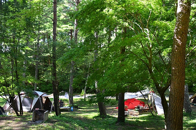 CAMP-2019/前半　ここをキャンプ地とした。