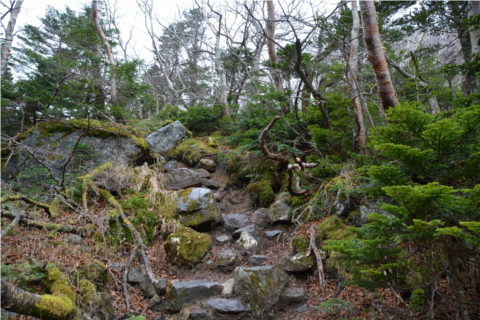 晩秋の関東以北最高峰を歩く