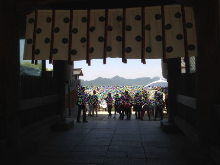 四国旅行で四万十川キャンプ＠ふるさと交流センター　5日目（2014.5.2〜6）