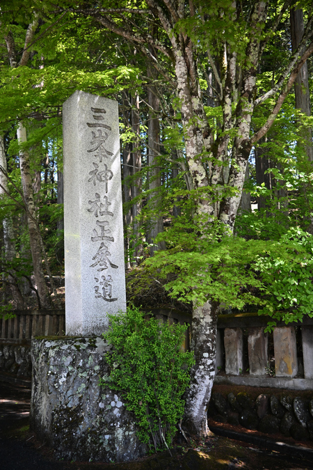 埼玉・群馬旅　２日目
