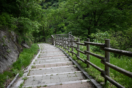 埼玉・群馬旅　３日目