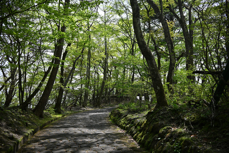 埼玉・群馬旅　３日目