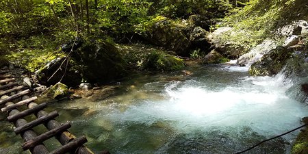 台高　武木川・激流の小滝