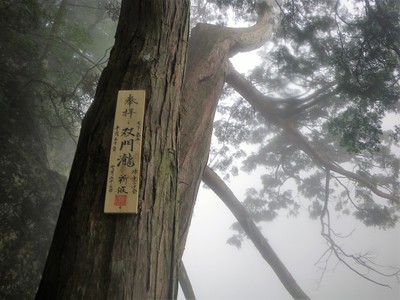 大峰・弥山川双門ルート