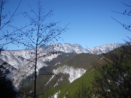 和佐又口から伯母ヶ峰