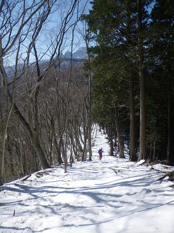 和佐又口から伯母ヶ峰