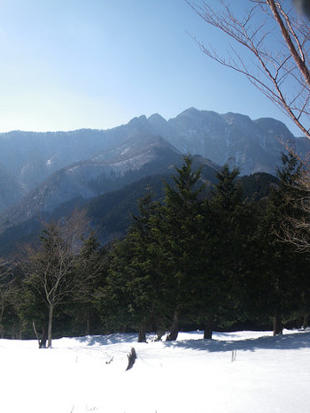 和佐又口から伯母ヶ峰