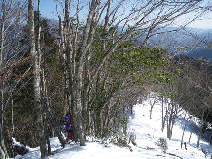 和佐又口から伯母ヶ峰