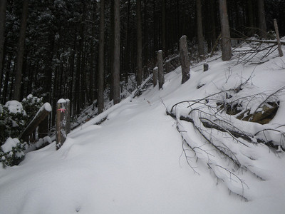 2015年初登山・観音峯