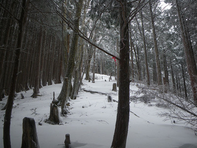 2015年初登山・観音峯