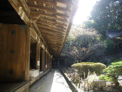 吉野・青根ヶ峰