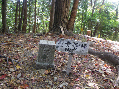 吉野・青根ヶ峰