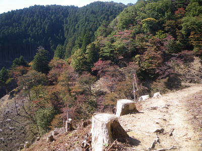 吉野・青根ヶ峰