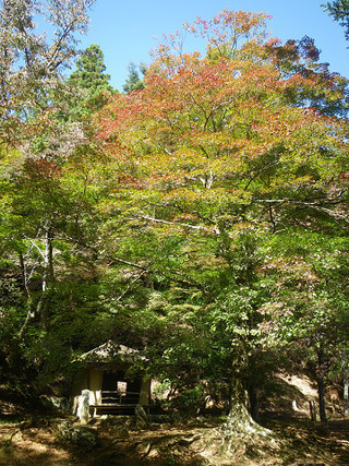 吉野・青根ヶ峰