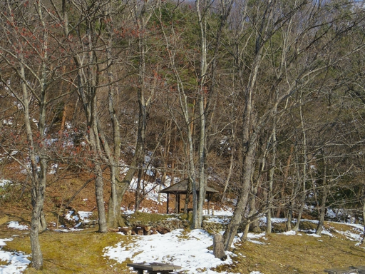 春を感じるソロキャンプ＠遠刈田温泉キャンプ適地