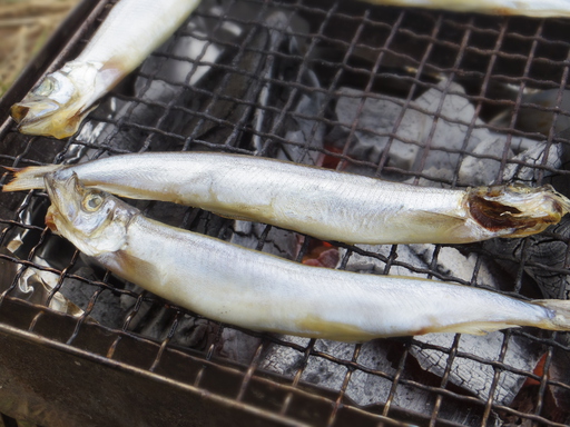 いつの日か、また楽しめる日が来ることを