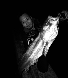 湾奥 シーバス釣行 泣きのランカーだけど最高に嬉しい1本！ 2017/11/07 23:11:00
