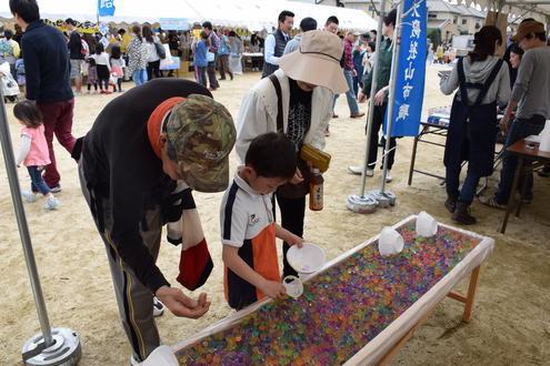 隠れた桜の名所かも！？　「狭山池」