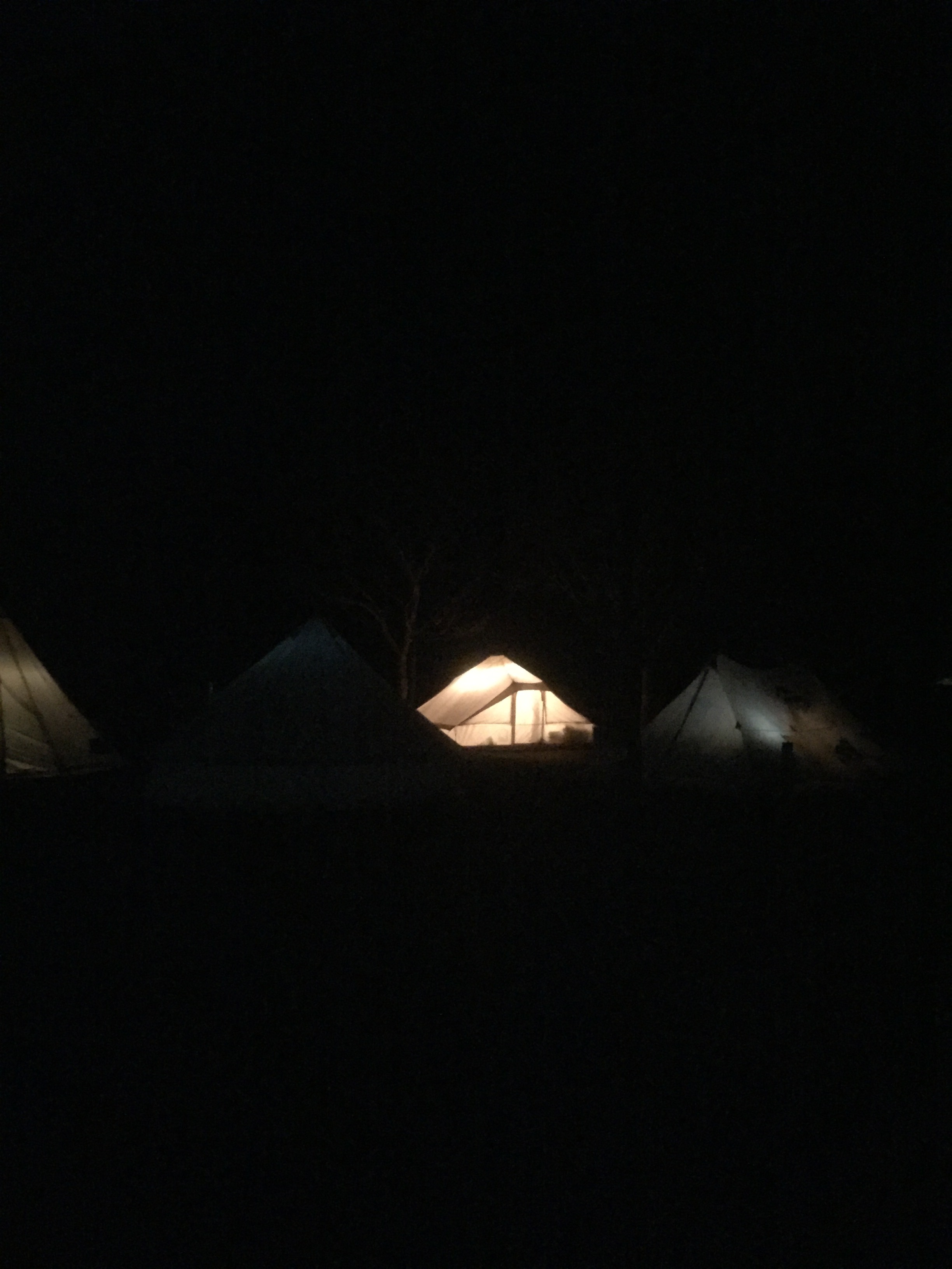 初年越しキャンプはかずさオートキャンプ場です