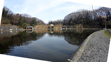 FISH・ON!王禅寺 釣行 2018年2月下旬