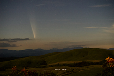 紫金山　アトラス彗星！