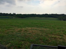 平成最後の夏の思ひ出