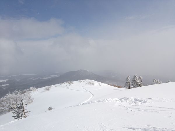 八甲田山　雛岳　BCスキー