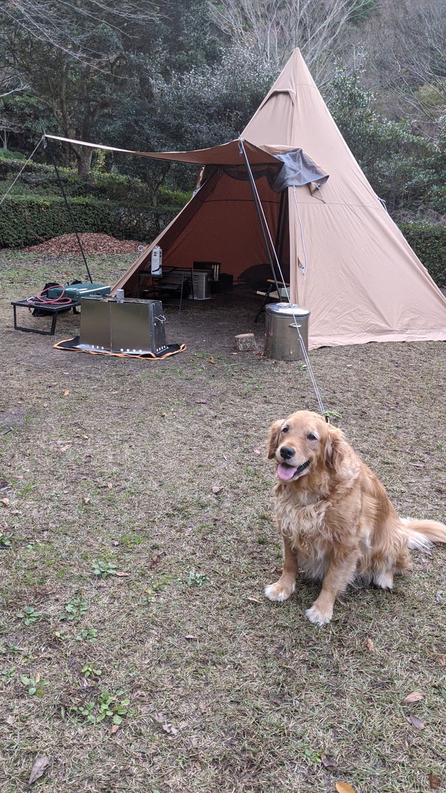 とある、島のキャンプ場　キャンプブーム？