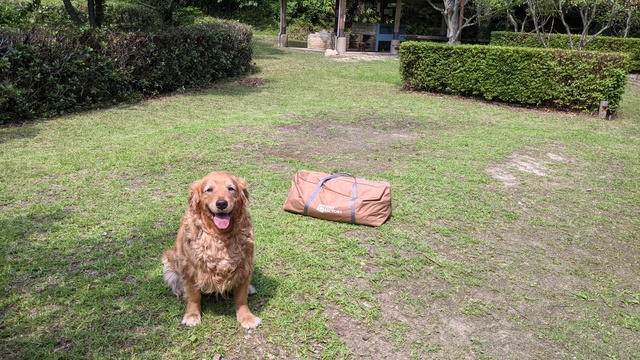 いつもの島のキャンプ　もう夏だ！