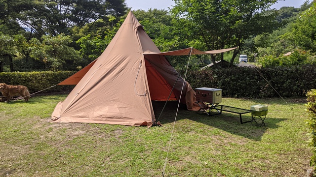 いつもの島のキャンプ　もう夏だ！