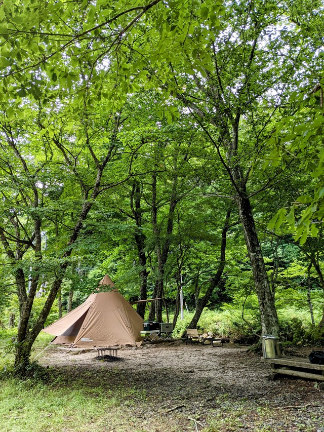 今年の夏の連休は…