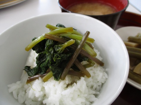 うなぎの寝床 葉わさびの醤油漬けを作ってみよう