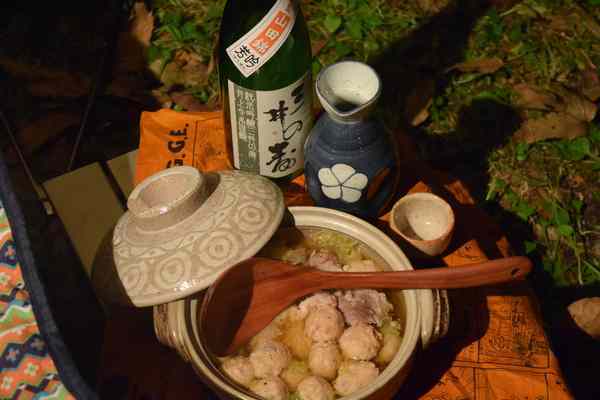 ２週に渡って１泊キャンプ２回するのと？２泊のキャンプを１回するのと？、、どっちが頻繁なのだろう？