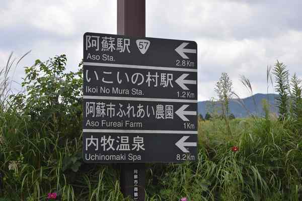 ２週に渡って１泊キャンプ２回するのと？２泊のキャンプを１回するのと？、、どっちが頻繁なのだろう？