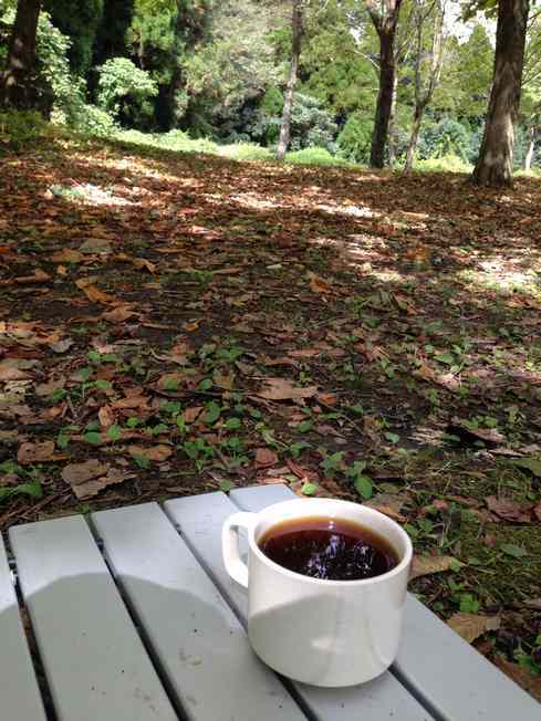 ２週に渡って１泊キャンプ２回するのと？２泊のキャンプを１回するのと？、、どっちが頻繁なのだろう？
