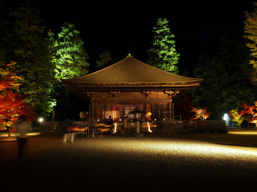 紅葉ライトアップ～白水阿弥陀堂