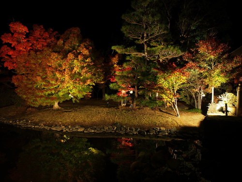 紅葉ライトアップ～白水阿弥陀堂