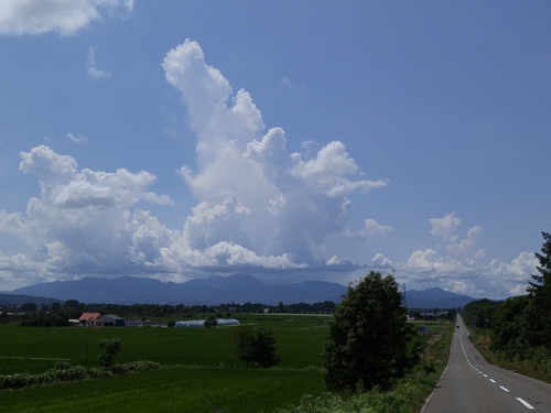 暑いね北海道！！