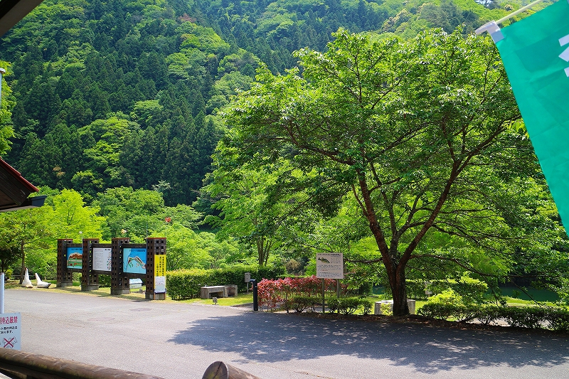 ふれあいパーク大原湖キャンプ場