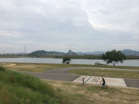 南国白くま