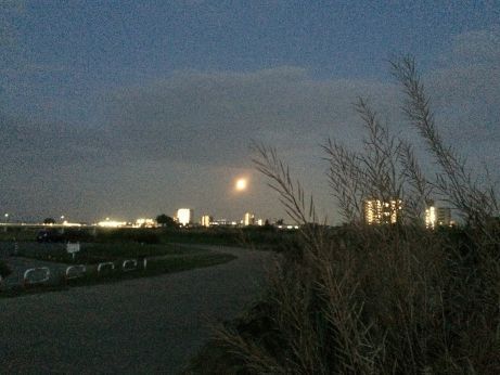 オレンジの月