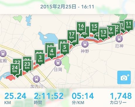 いか五杯