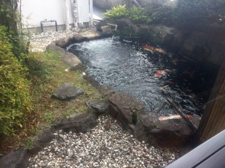 活魚割烹 宝魚園 【篠山市川北新田】