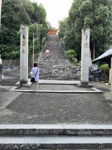 ミルク園 【愛媛県大野ケ原】 2022/07/17 16:16:00