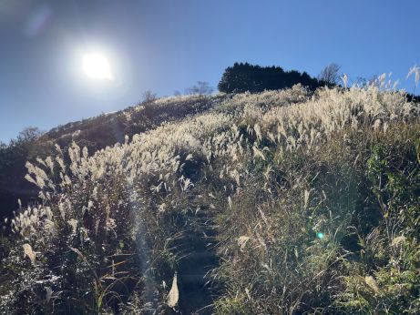 千ヶ峰