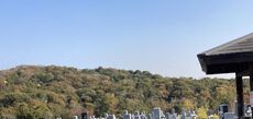 お墓参り 2022/11/11 11:12:00