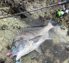 Day Fishing Game:シルベラード GSIS-742ML