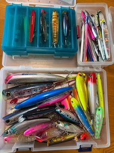 Day Fishing Game:シルバーウルフ AGS 722LXS